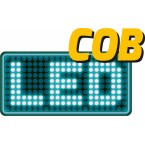 Darbo lempa 3W COB LED (YT-08504)