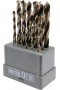 Grąžtų metalui rinkinys 19 vnt, HSS, 1-10 mm (21999V)