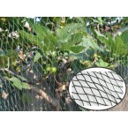 Tinklas augalams apsaugoti 2*5 m 30g/m2 GARDEN LINE